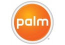 Palm